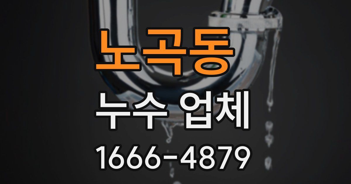 노곡동 누수 업체