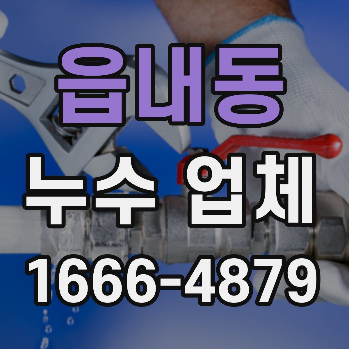 읍내동 누수 업체