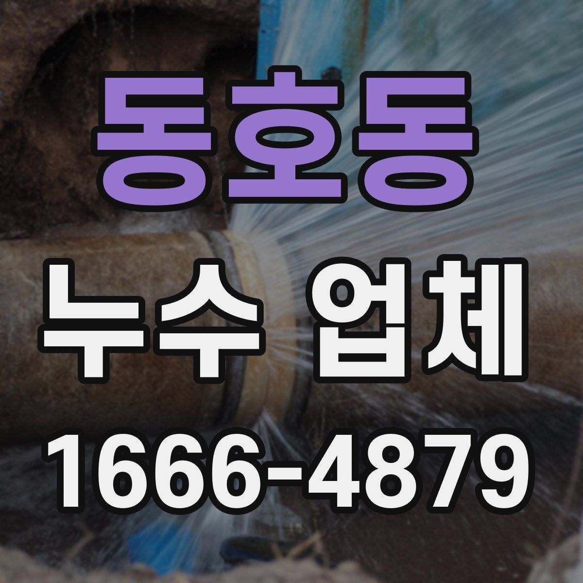 동호동 누수 업체