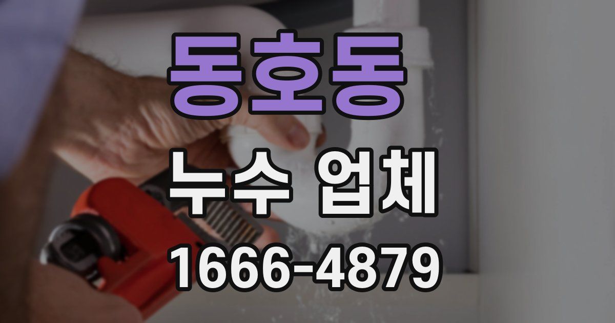 동호동 누수 업체