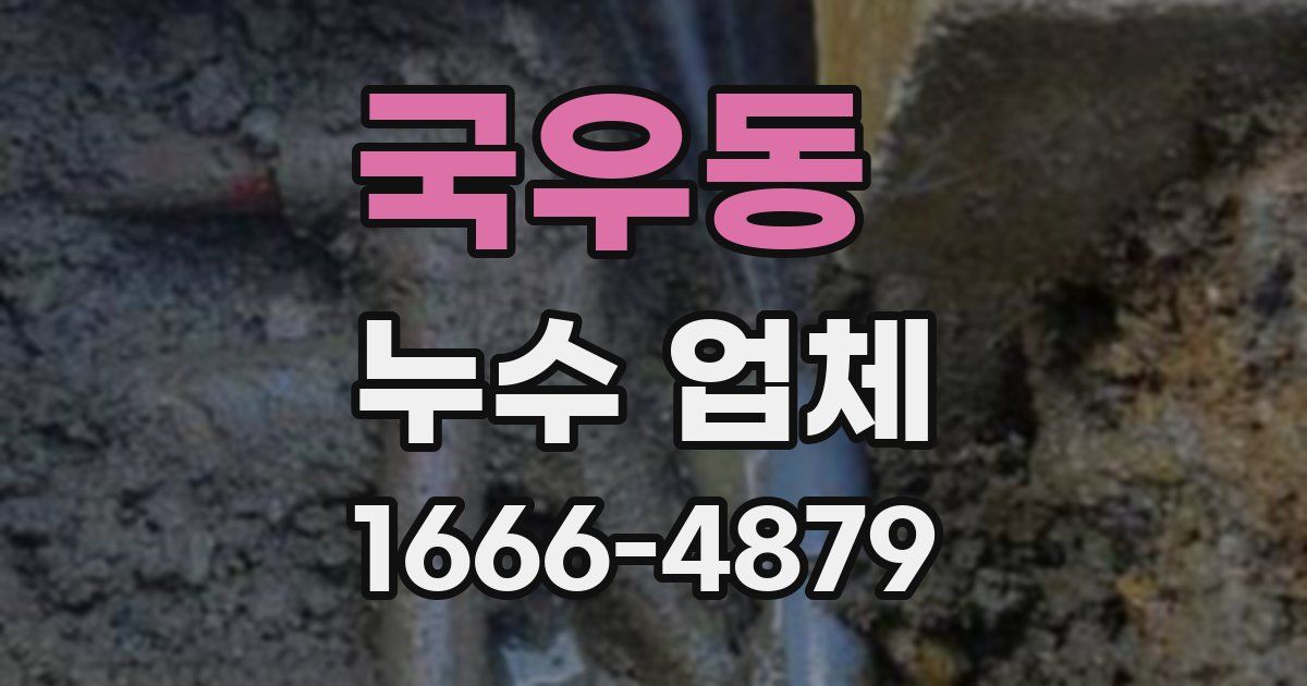국우동 누수 업체
