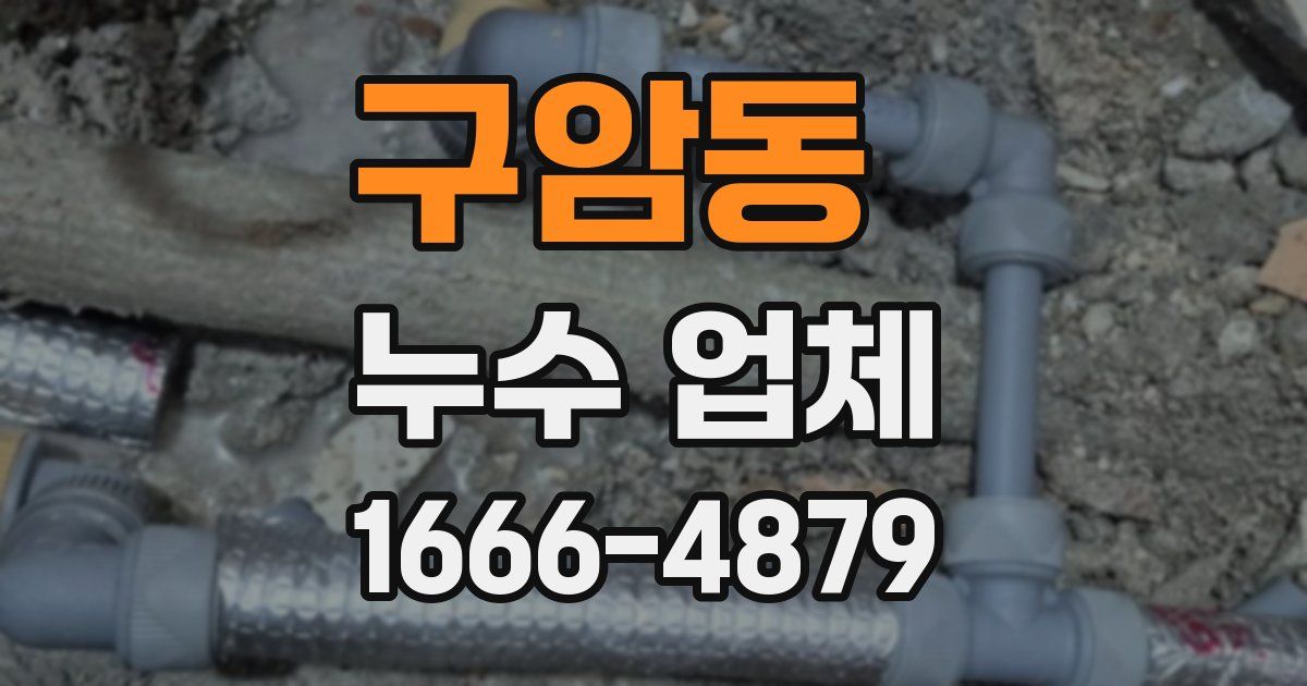구암동 누수 업체