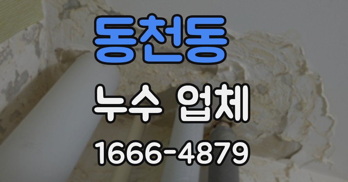 동천동 누수 업체