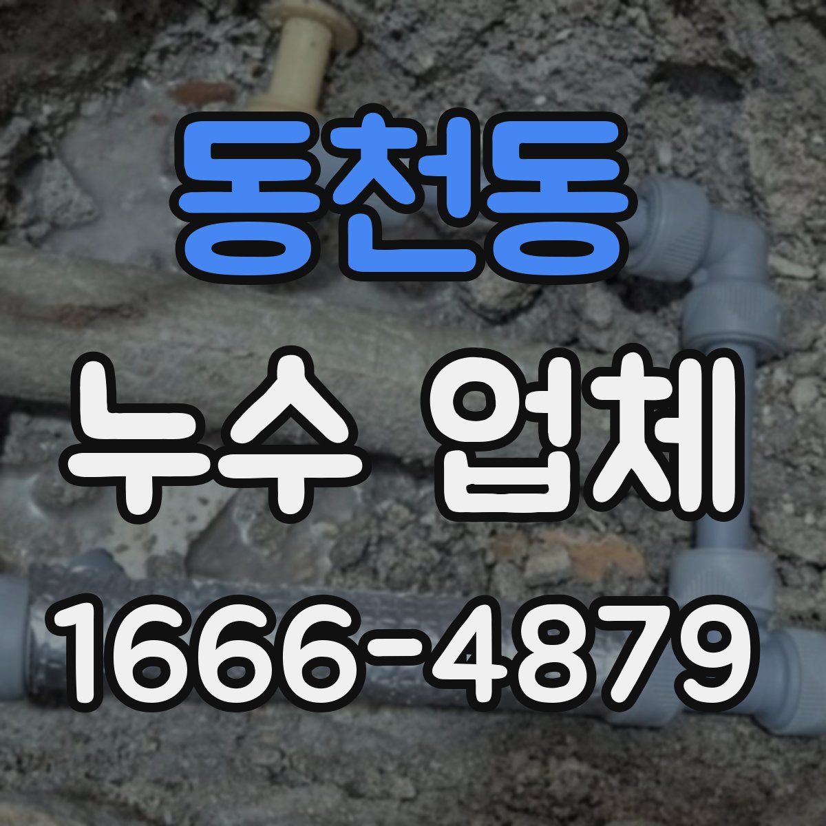 동천동 누수 업체