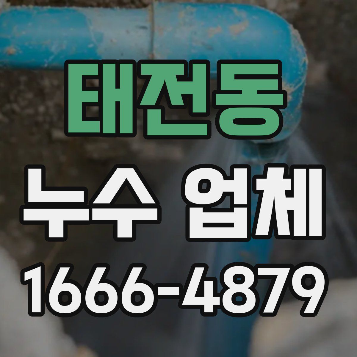 태전동 누수 업체