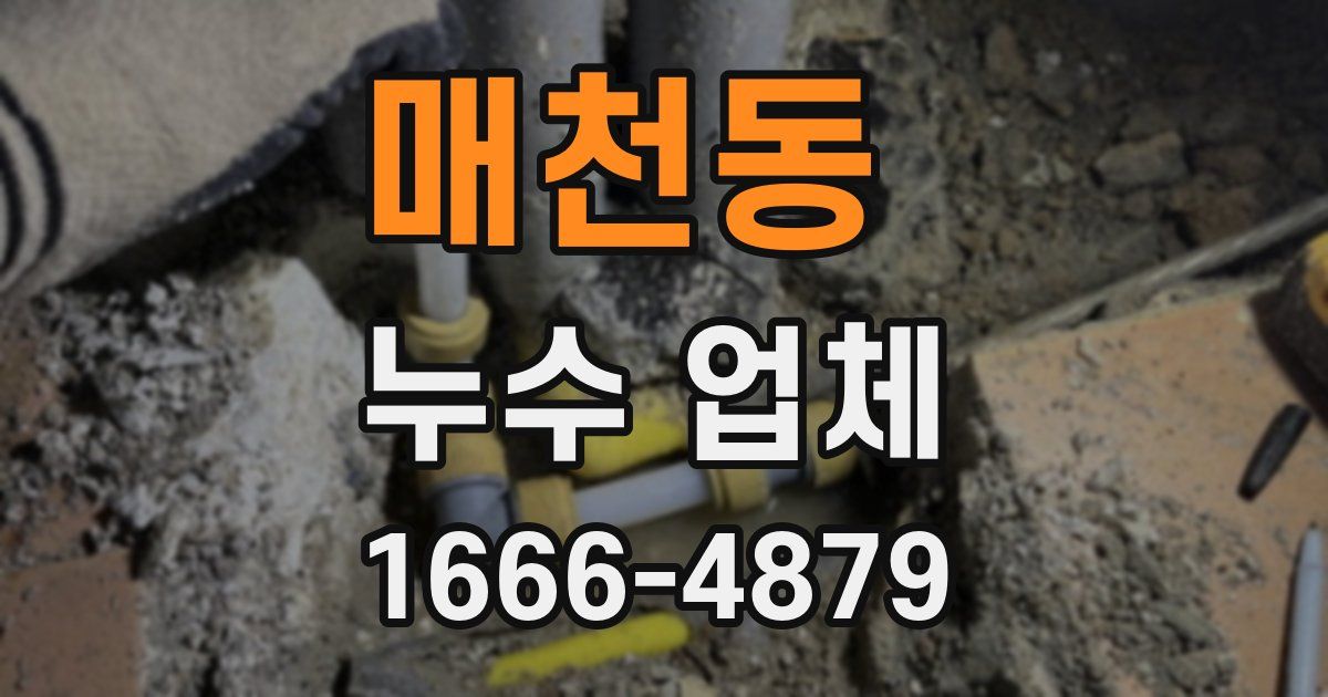 매천동 누수 업체