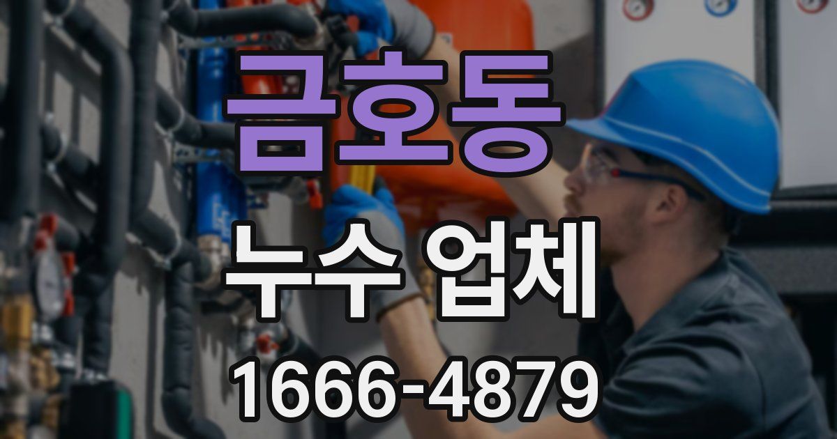 금호동 누수 업체