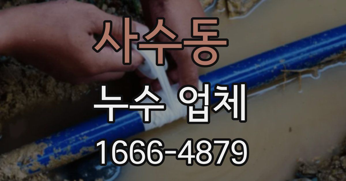 사수동 누수 업체