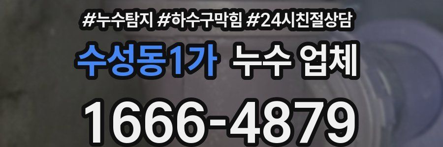 수성동1가 누수 업체