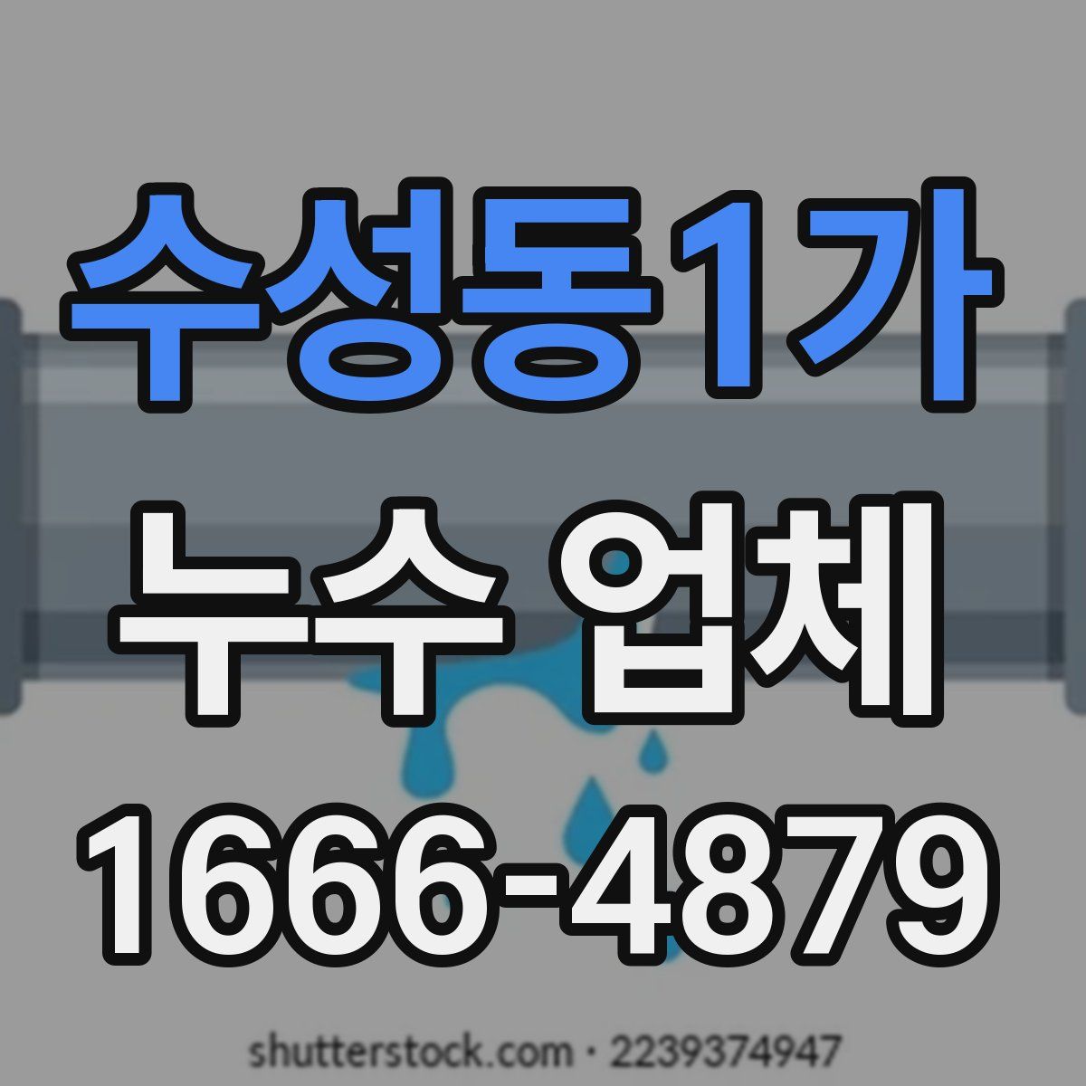 수성동1가 누수 업체