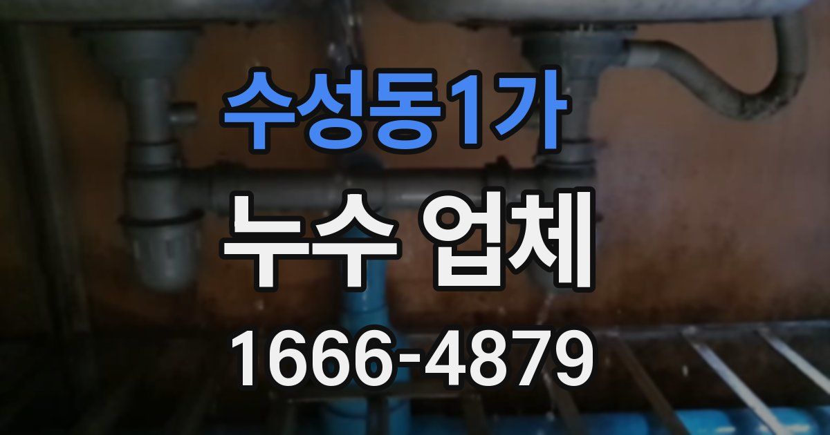 수성동1가 누수 업체