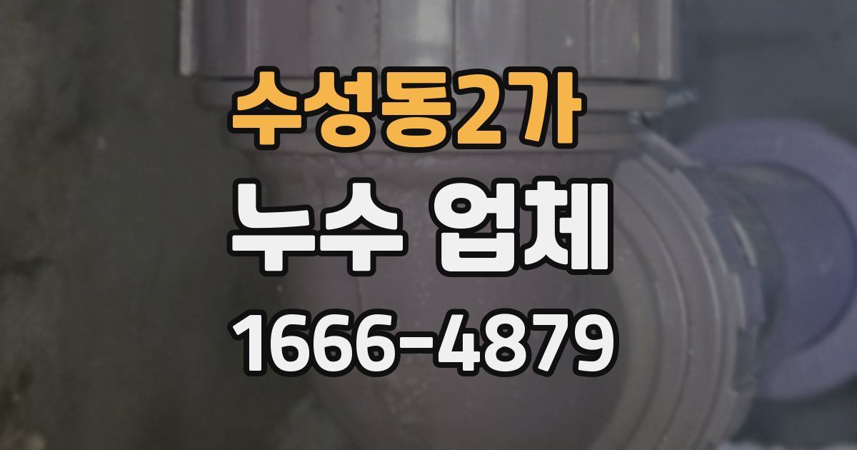수성동2가 누수 업체