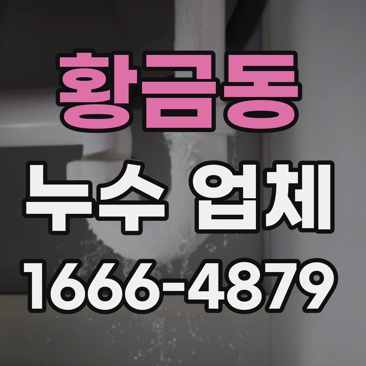 황금동 누수 업체