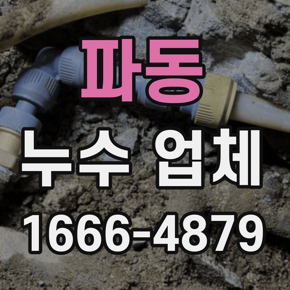파동 누수 업체