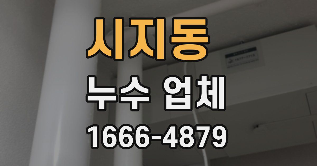 시지동 누수 업체