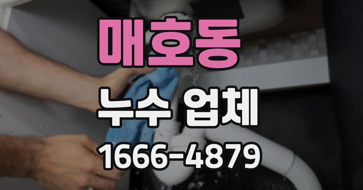 매호동 누수 업체