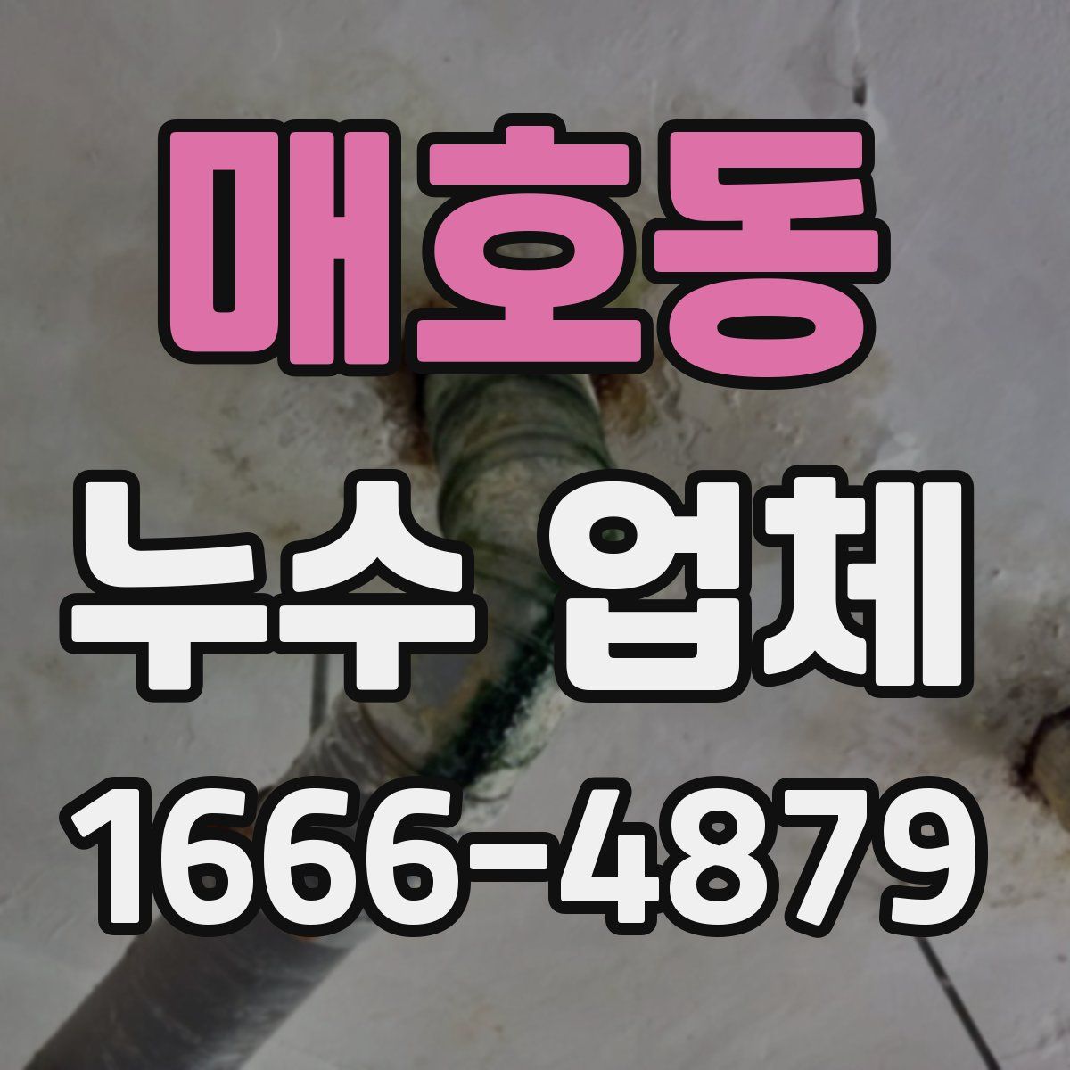 매호동 누수 업체