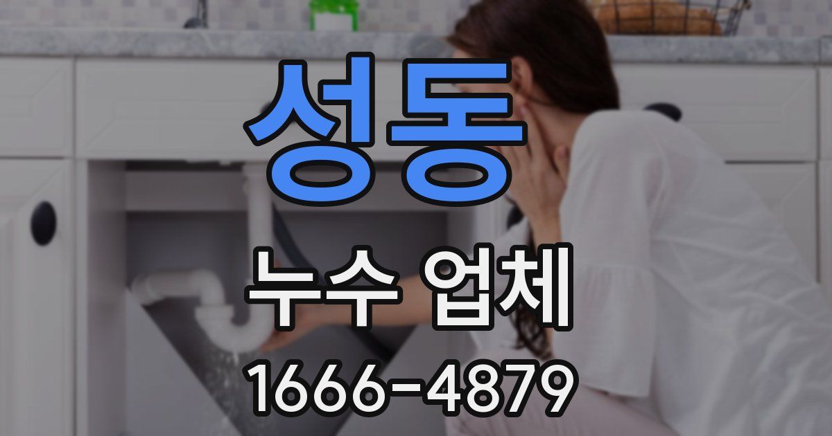 성동 누수 업체