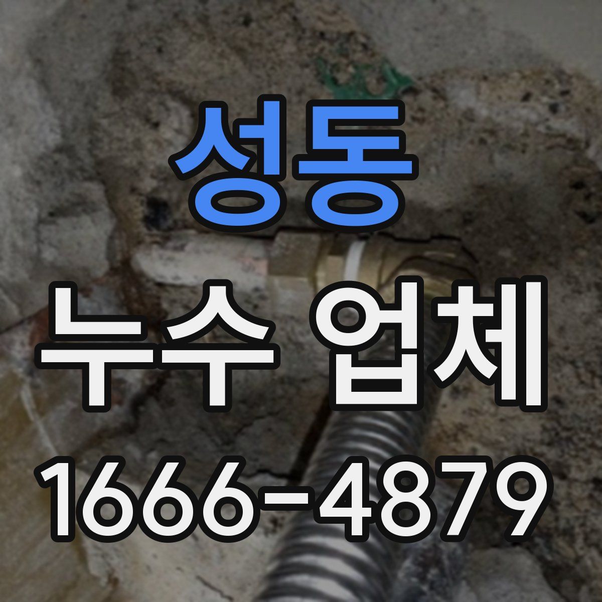 성동 누수 업체