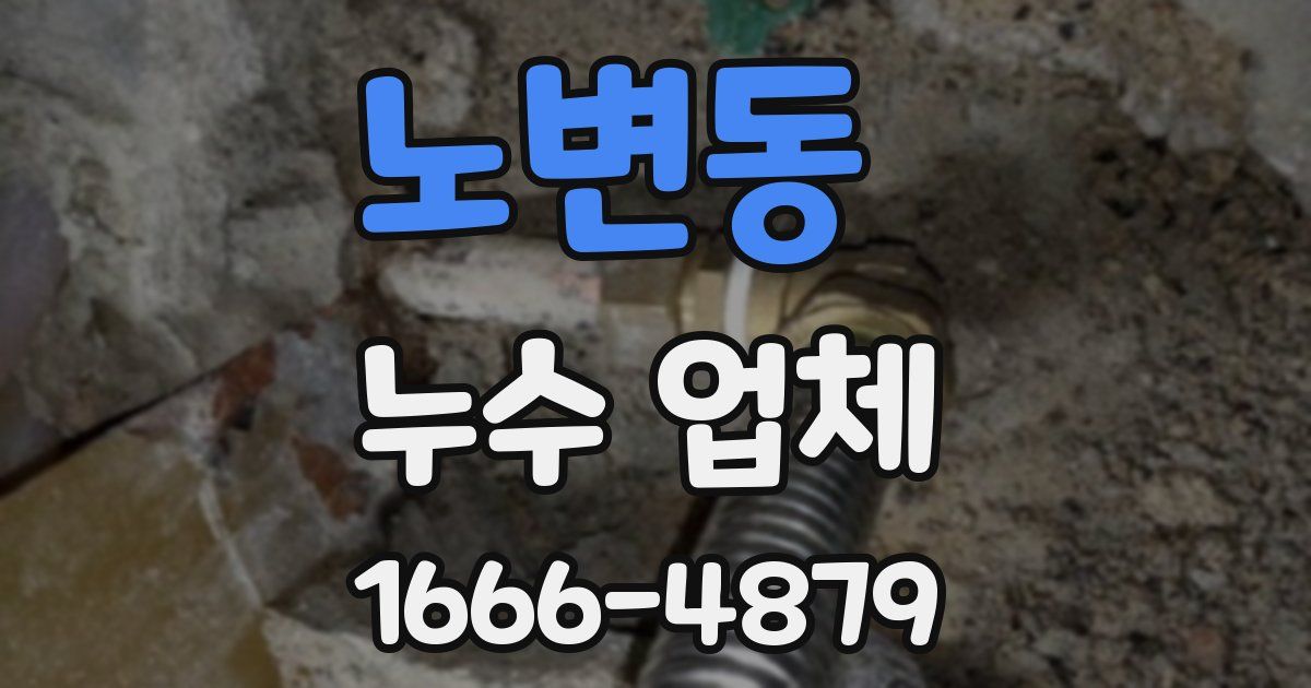 노변동 누수 업체