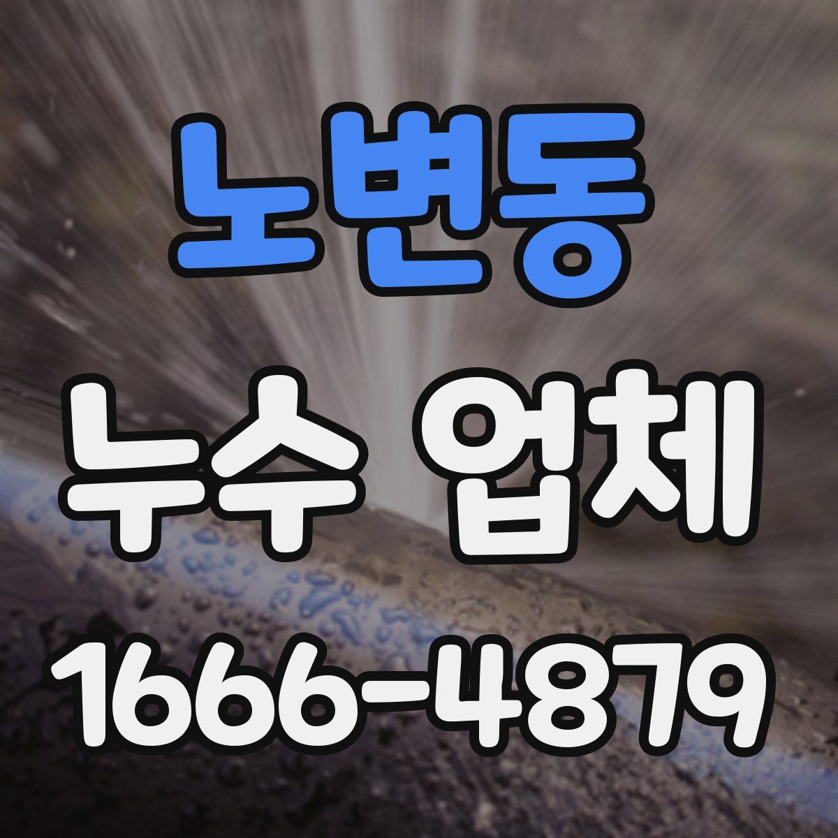 노변동 누수 업체