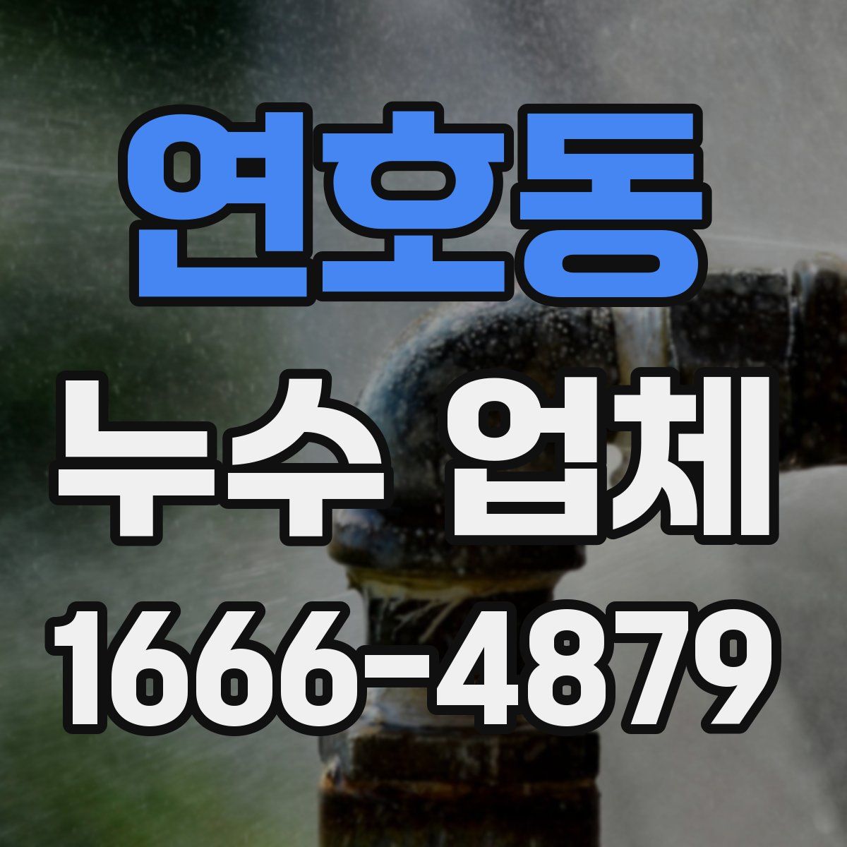 연호동 누수 업체
