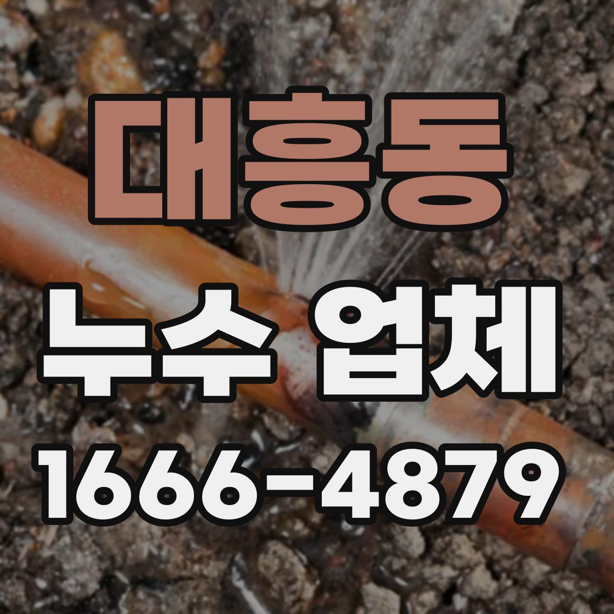 대흥동 누수 업체