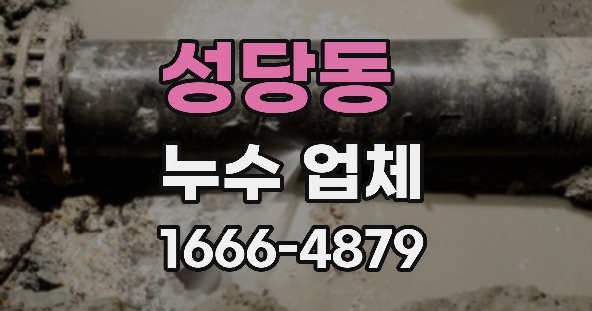 성당동 누수 업체