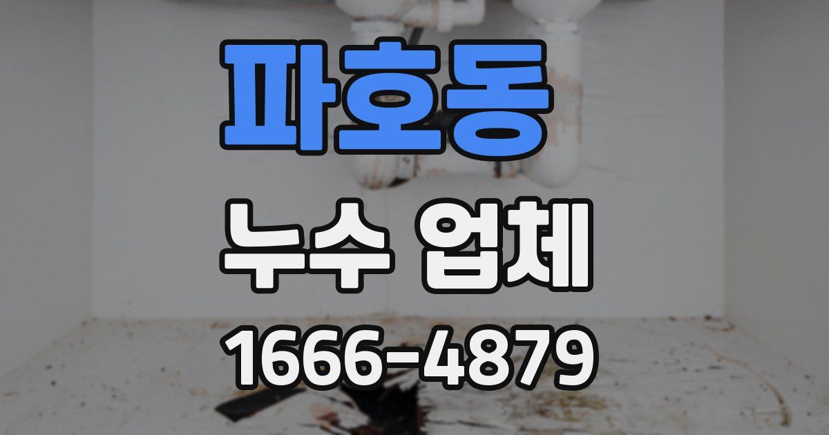 파호동 누수 업체