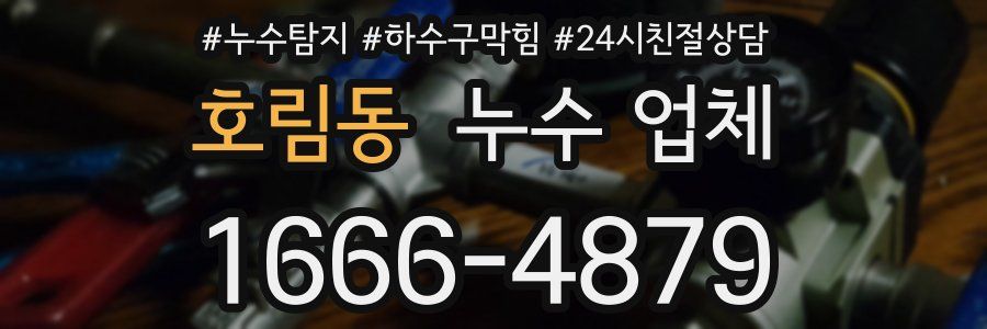 호림동 누수 업체