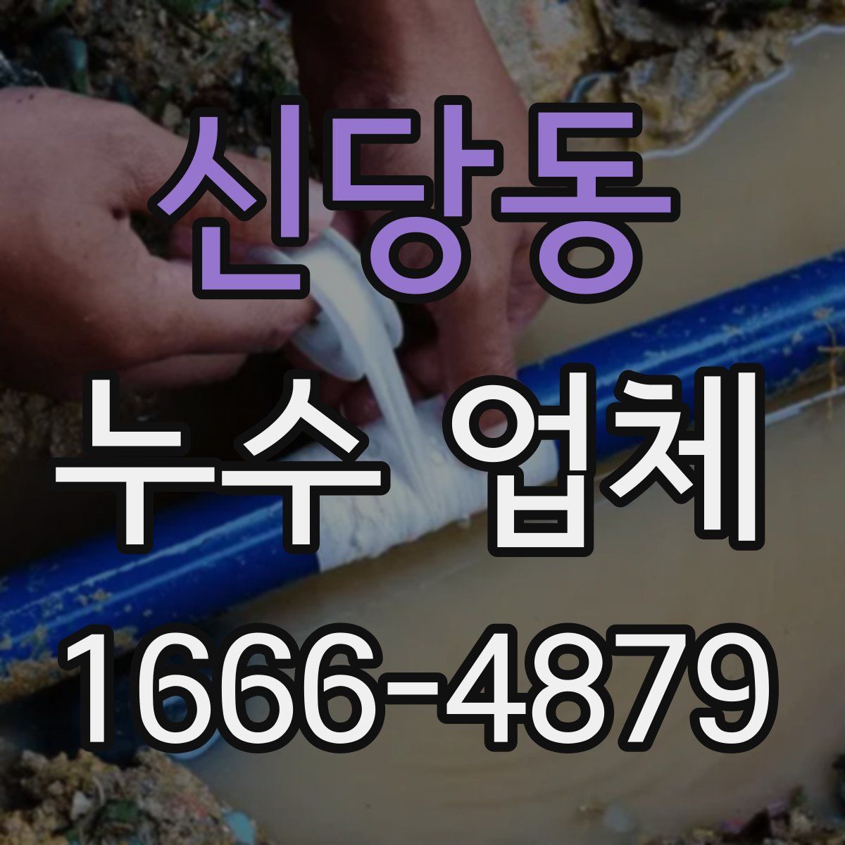 신당동 누수 업체