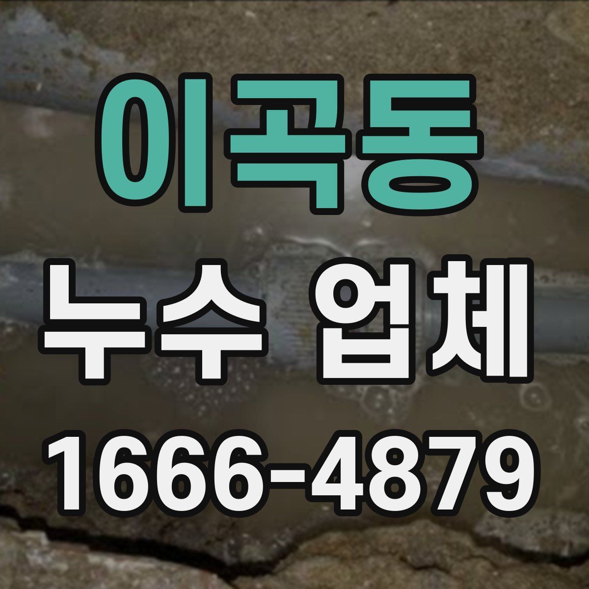 이곡동 누수 업체