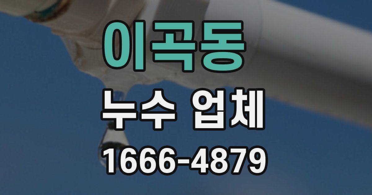 이곡동 누수 업체