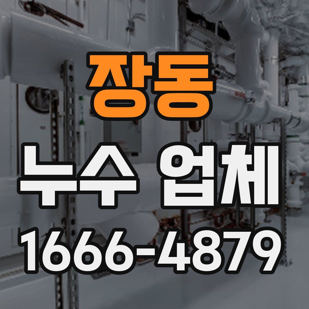 장동 누수 업체
