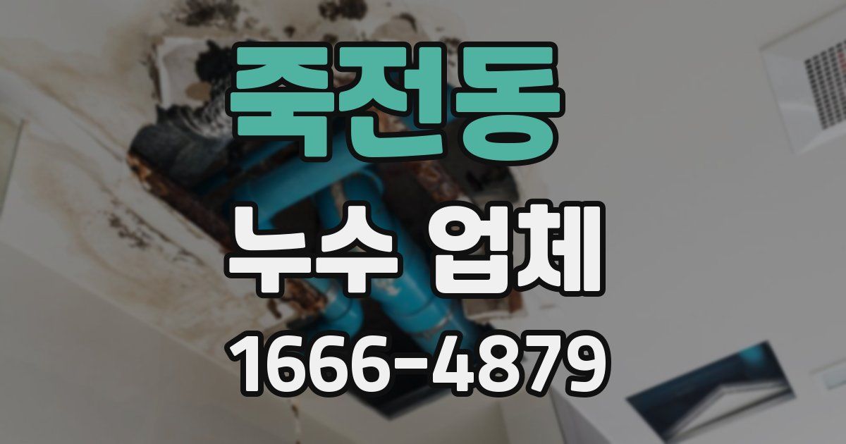 죽전동 누수 업체