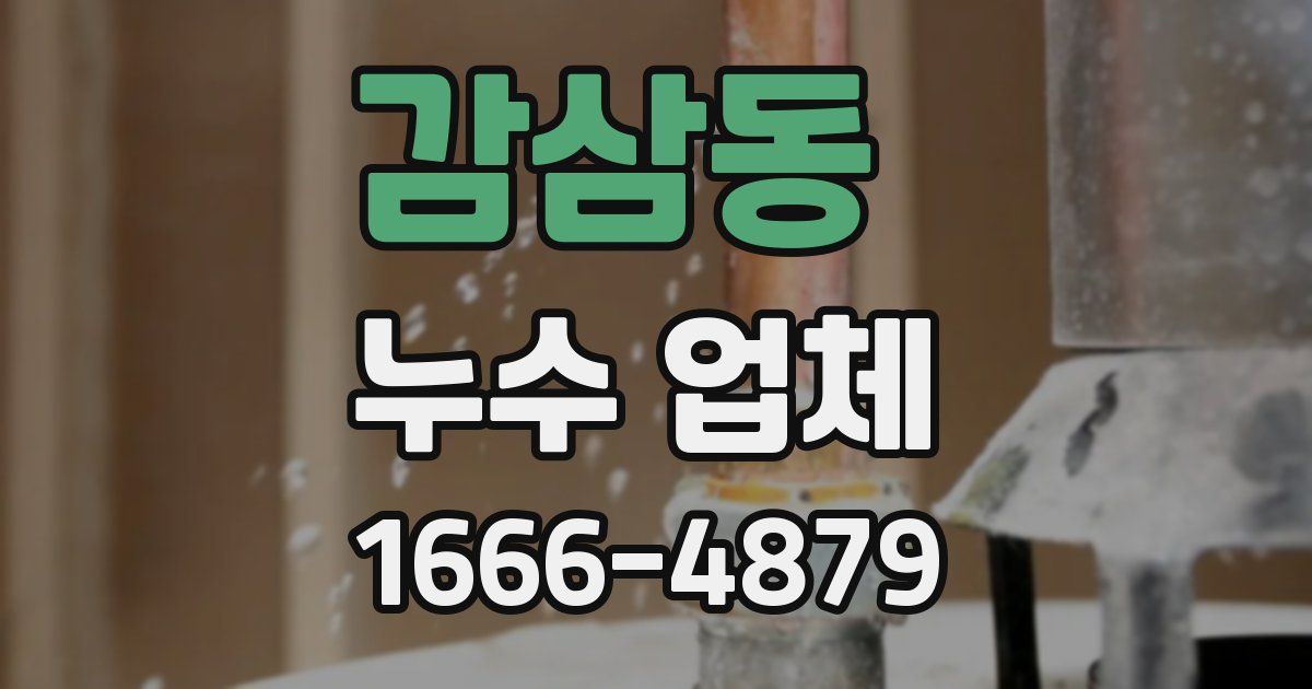 감삼동 누수 업체