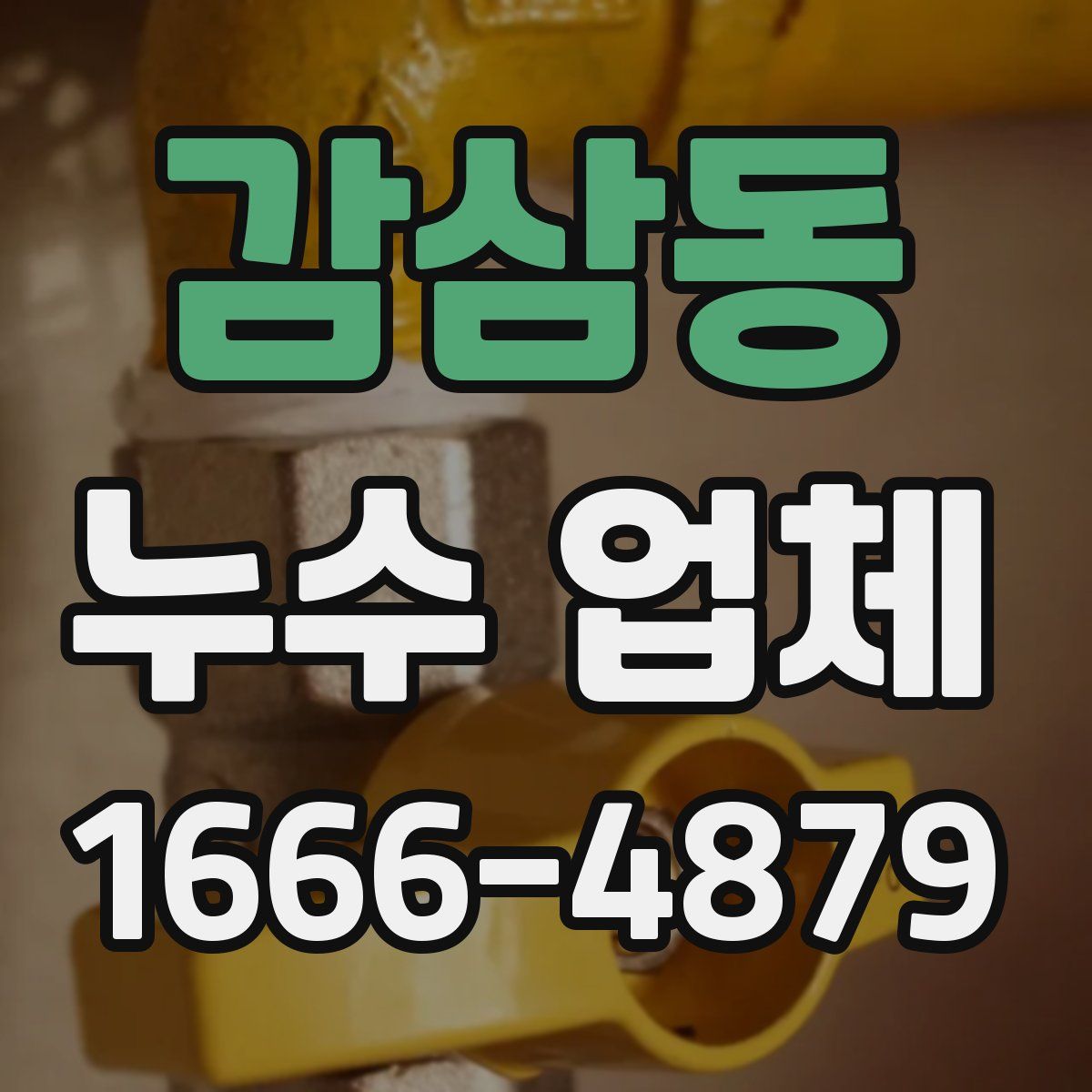 감삼동 누수 업체