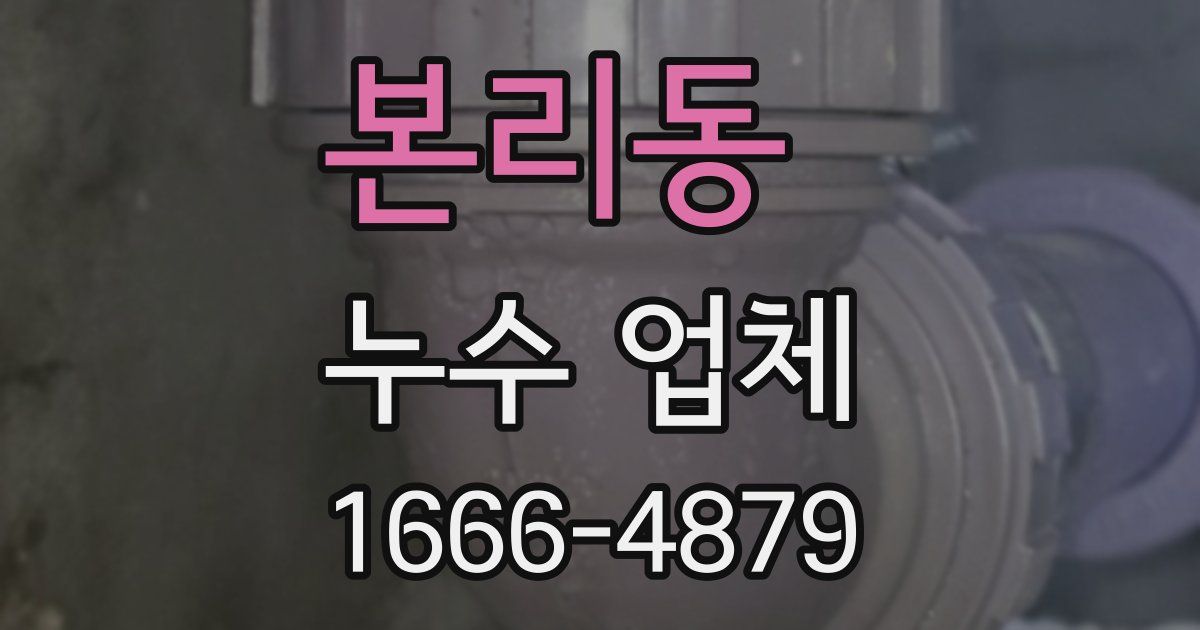 본리동 누수 업체