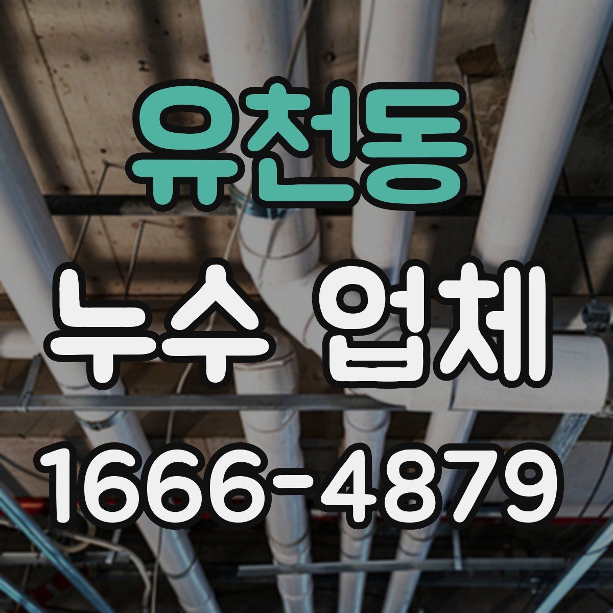 유천동 누수 업체