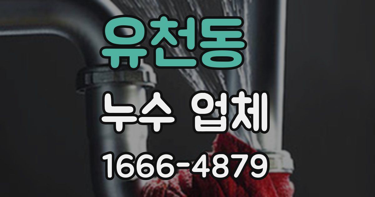 유천동 누수 업체