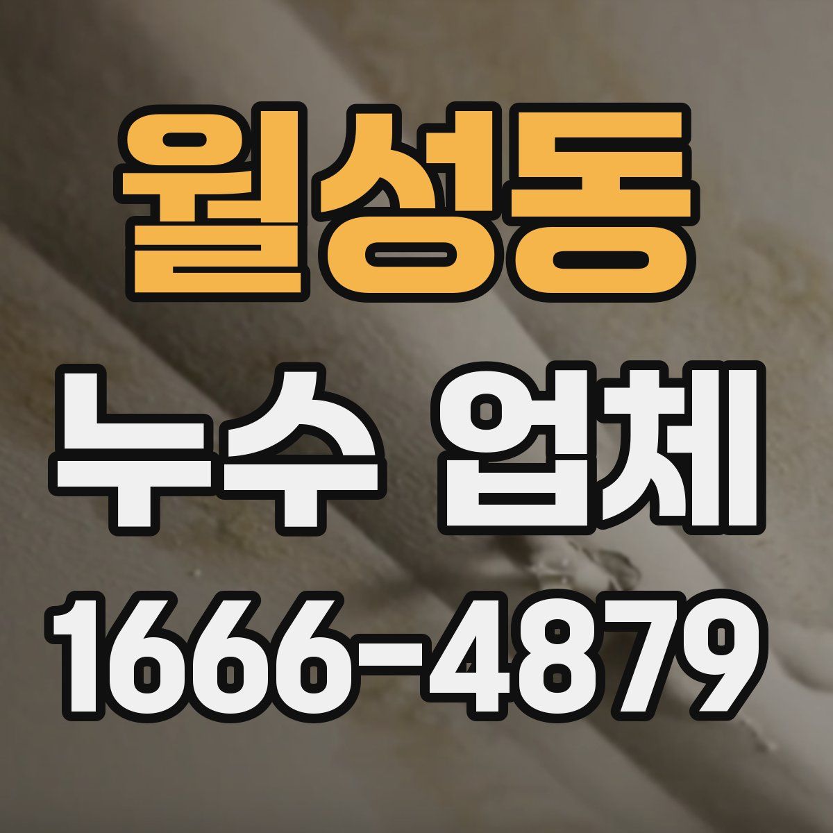 월성동 누수 업체