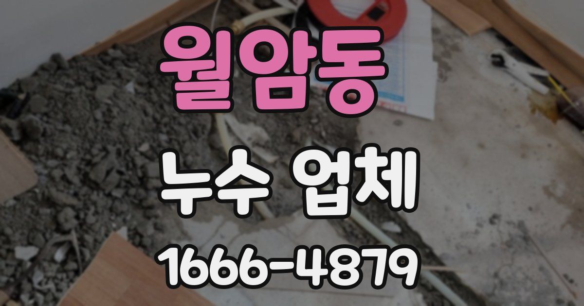 월암동 누수 업체
