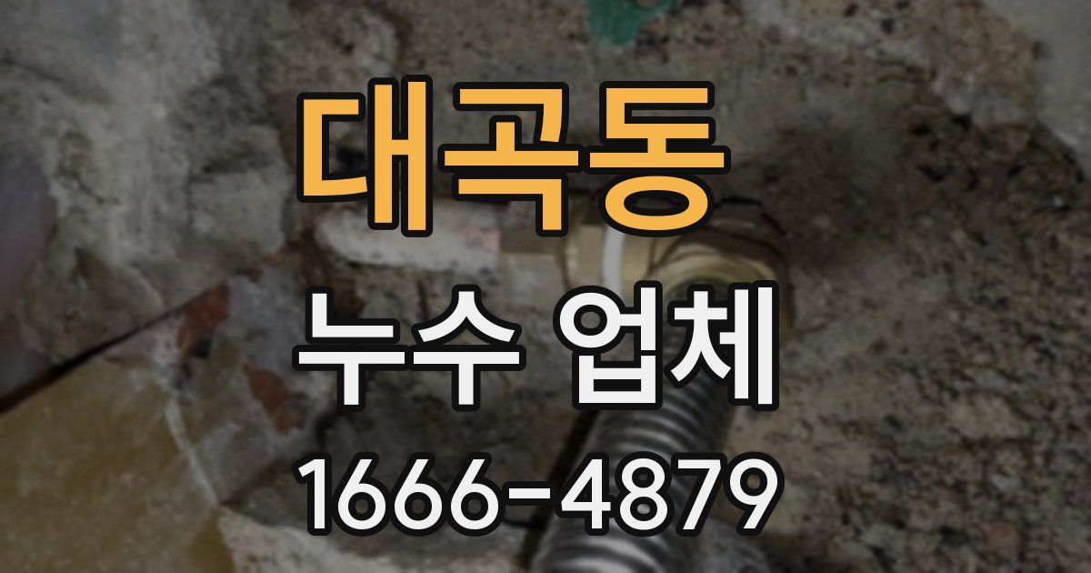 대곡동 누수 업체