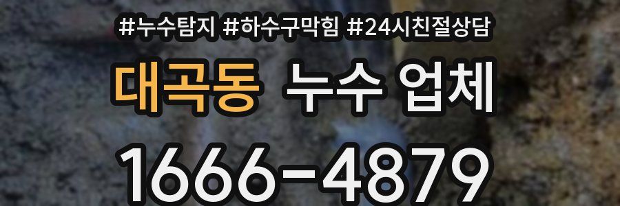 대곡동 누수 업체