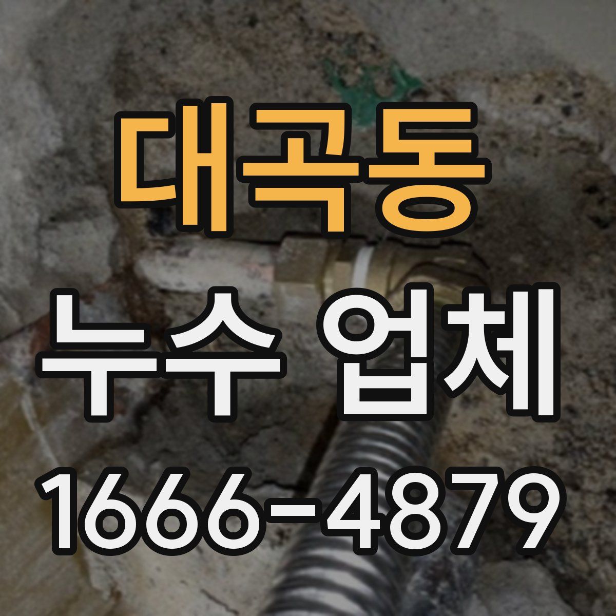 대곡동 누수 업체