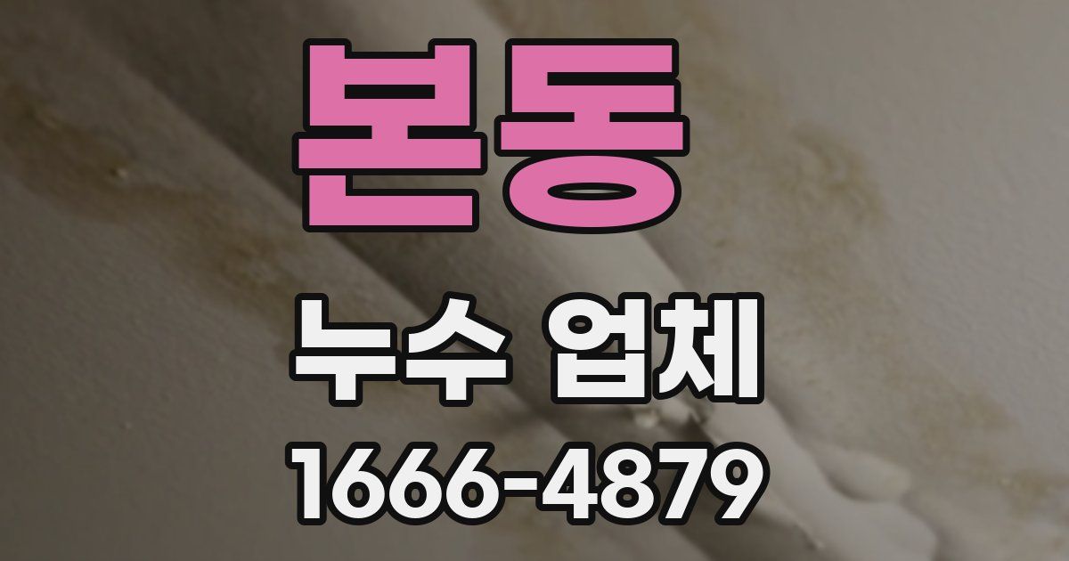 본동 누수 업체
