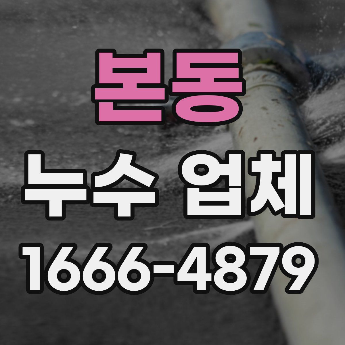 본동 누수 업체