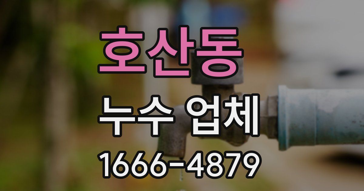 호산동 누수 업체