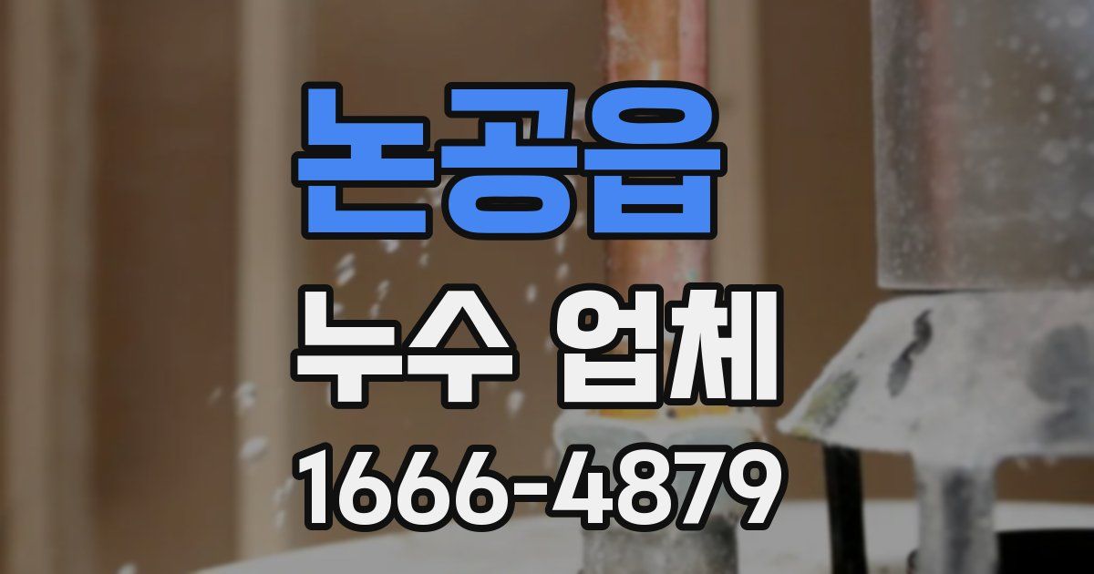 논공읍 누수 업체