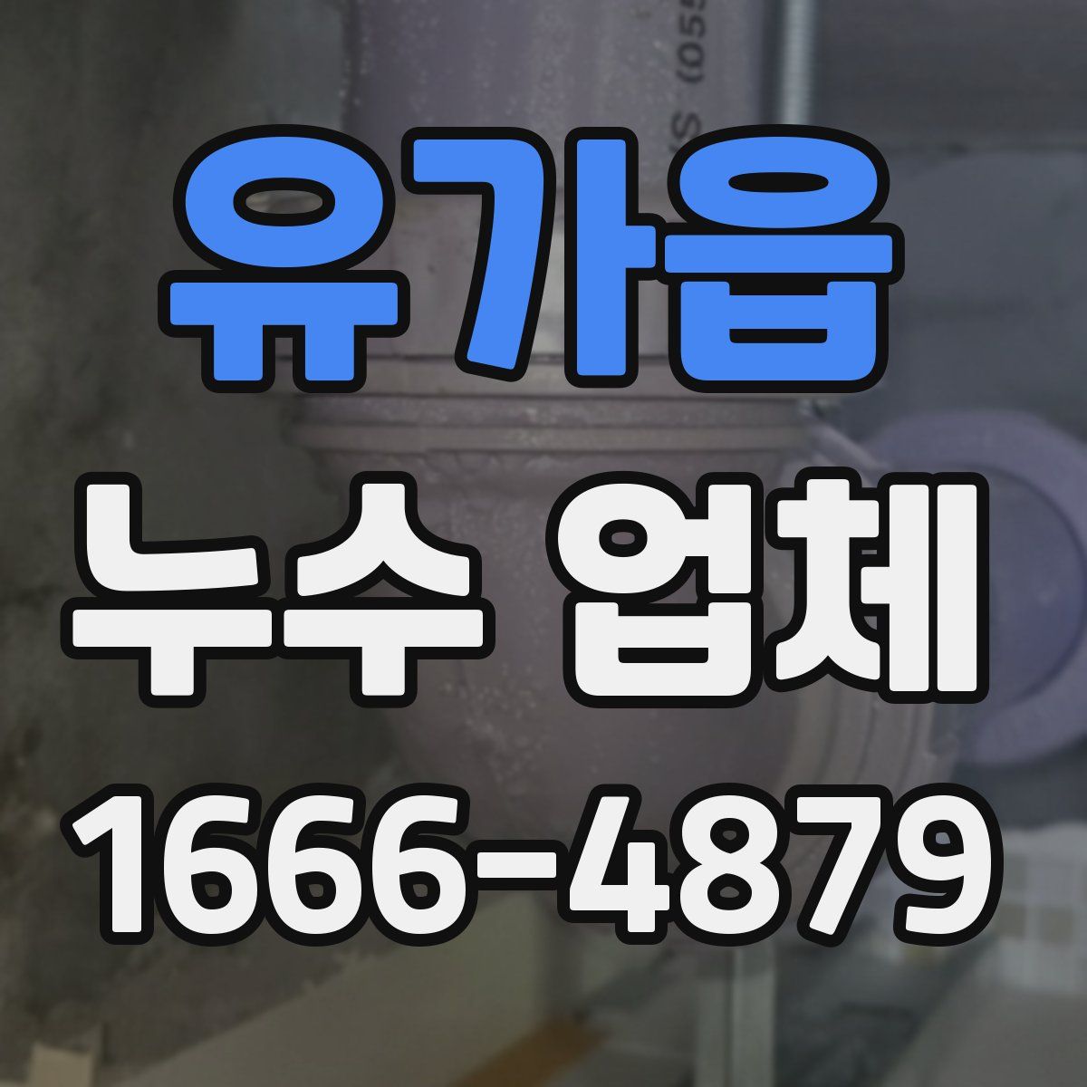 유가읍 누수 업체